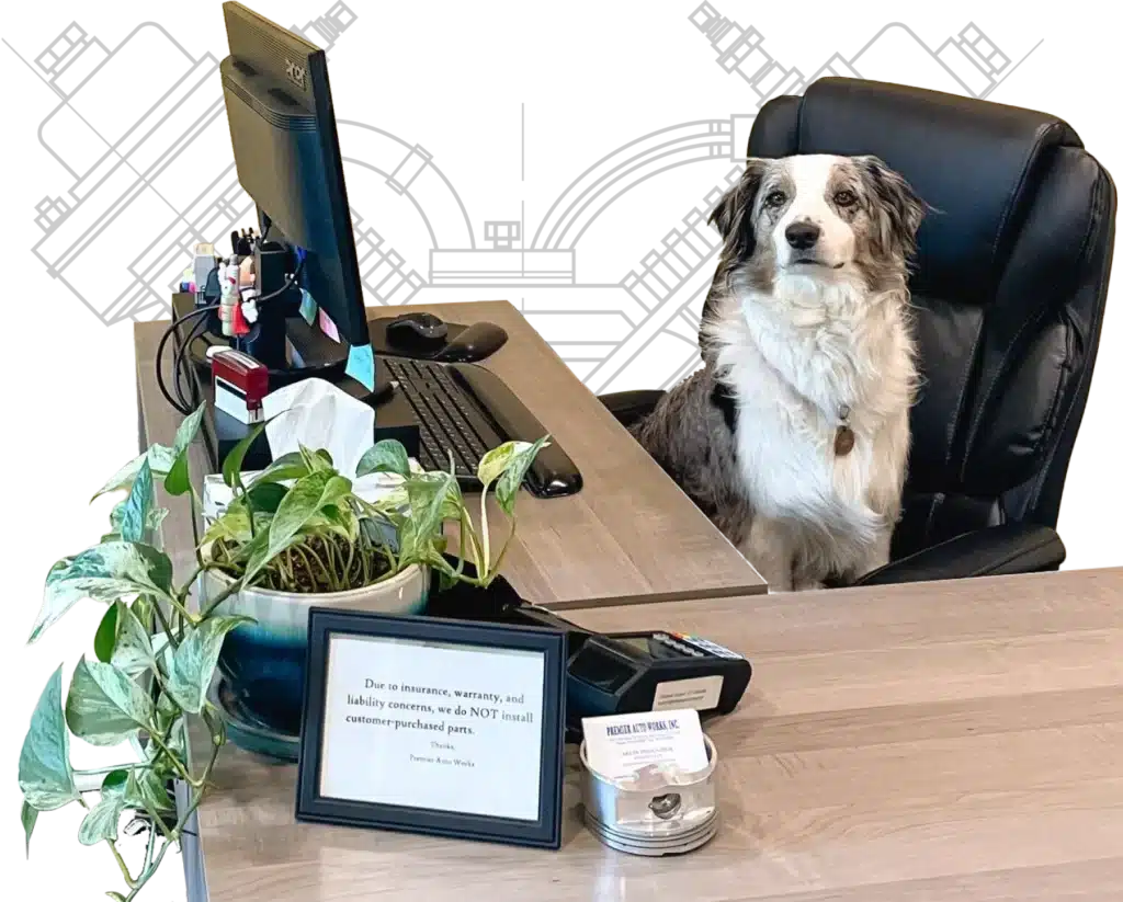 A dog sitting at a desk with a plant and a sign.